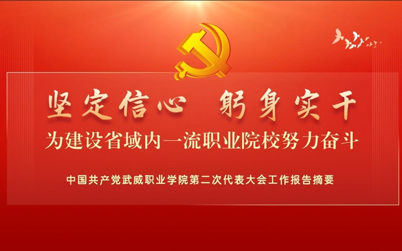 【一图速览】中国共产党美国专线欧洲专线日本第二次代表大会党委工作报告